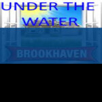 brookhaven in the water