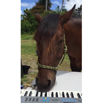 Horse Music