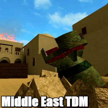 Middle East TDM