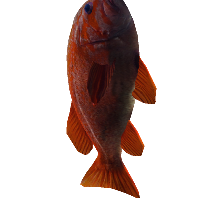 fish cosplay - Roblox