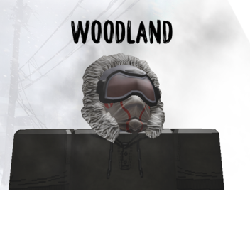 WOODLANDS 2051 (Archived)