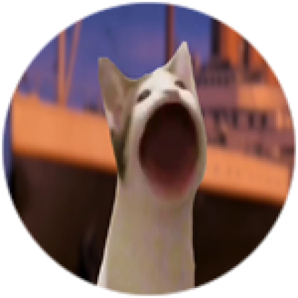 pop cat - Roblox