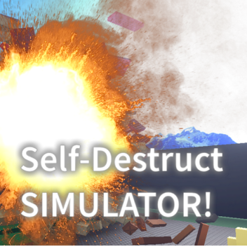 Self-Destruct Simulator