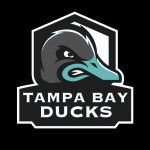 [RNFL] Tampa Bay Ducks Home Stadium