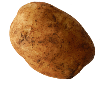 Escape das batatas em uma nave espacial!