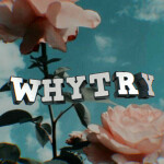 WhyTry Home Store