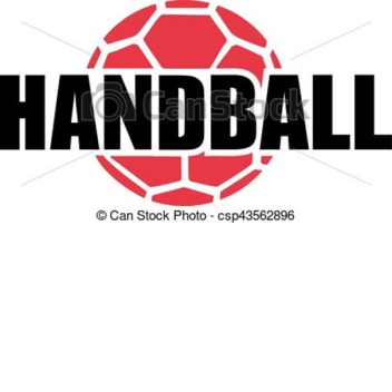 Offical Handball Staduim