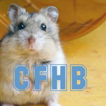 Caring for a Hamster [BETA]  Be a hamster