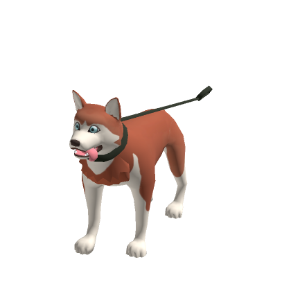 Husky In A Bag - Roblox T Shirt Anime Roblox Png,Husky Transparent - free  transparent png images 