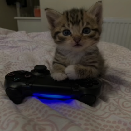 Gaming Cat (profile picture)'s Code & Price - RblxTrade