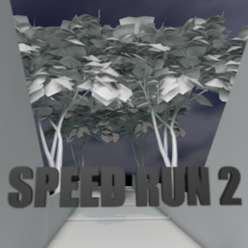 SPEED RUN 2