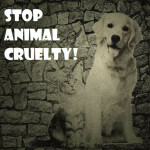 Favorite if you're Against Animal Abuse!