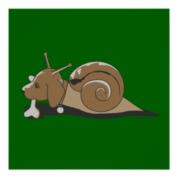 Symbol Of Snaildog