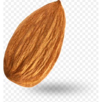 wallnut