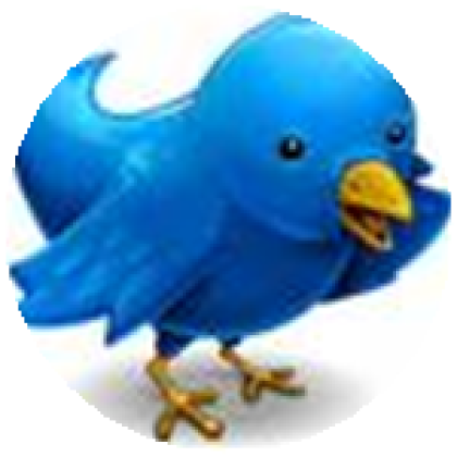 The Twitter Birds - Roblox