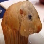 Someone baked a hampster into my muffin