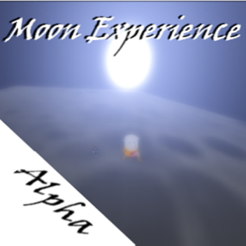 The Moon Experience