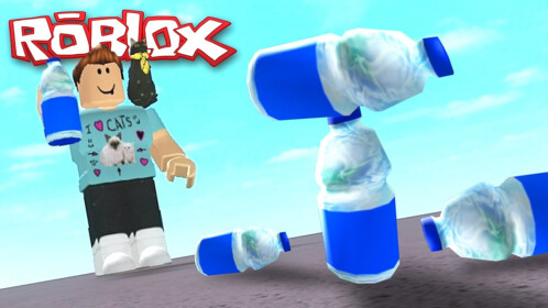 Roblox kids flip top water bottle video games – Happy at Home Creations