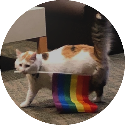 cat profile picture (pfp)'s Code & Price - RblxTrade
