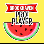 ✨ The ULTIMATE Brookhaven Quiz for PROS✨ - Roblox