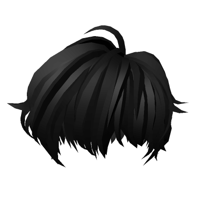 Anime Boy Hair in Black, Roblox Wiki
