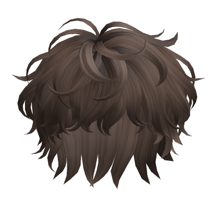 Roblox Item Messy Curly Hair(Brown)