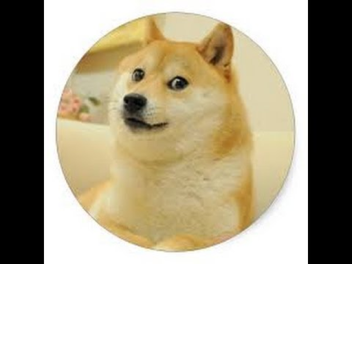 Such Doge Obby 