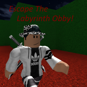 Escape The Labyrinth Obby Beta 