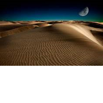 The Desert [BETA]