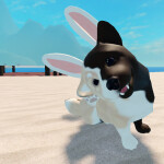 [Egg Hunt!] Puppy Game  🐾