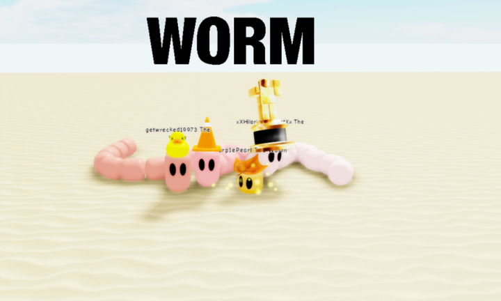 WORM 🪱