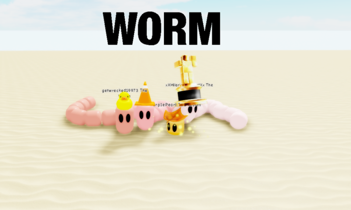 WORM