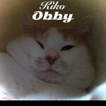 Kiko Obby