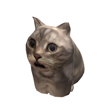 🙀 Shocked Meme Cat Costume | Roblox Item - Rolimon's