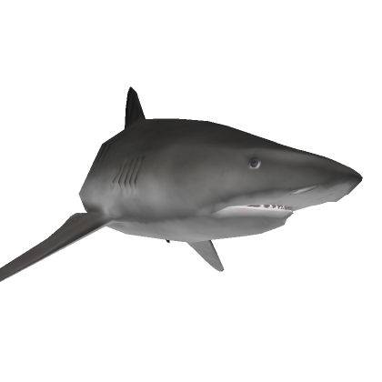 Tiger Shark Friend - Roblox