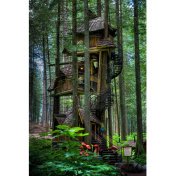 Rayils Epic Tree House