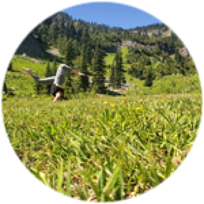roblox rules of nature game