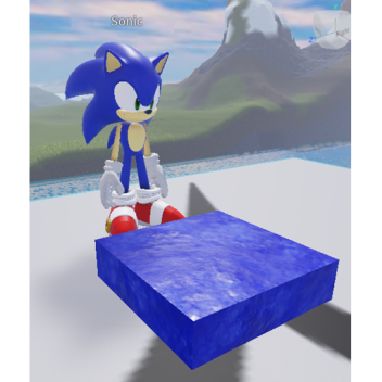 Sonic Morph&Races-Removed game