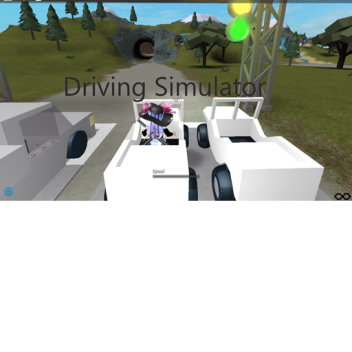 Driving Simulator!!