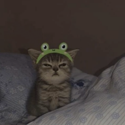 Cute Cat Frog Pfp's Code & Price - RblxTrade