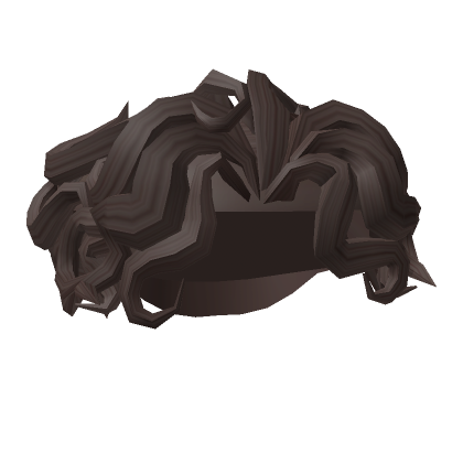 Short Brown Curly Hair | Roblox Item - Rolimon's