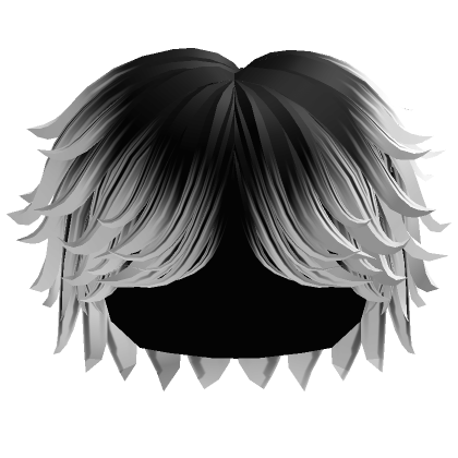 Fluffy Swept Cool Boy Hair (Black to White) | Roblox Item - Rolimon's