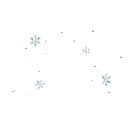 Roblox Item Winter Snow Confetti