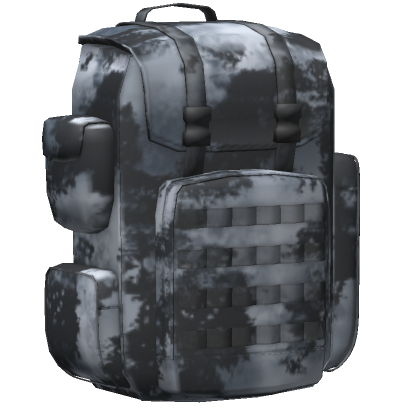 What is a military backpack called sale