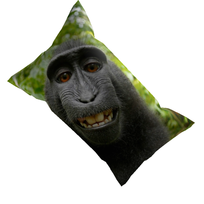 Monkey top body pillow