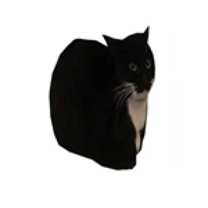 Meme Cat - Roblox