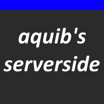 [BETA] aquib's serverside