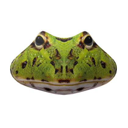 Realistic Frog Mask  Roblox Item - Rolimon's