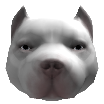 White pitbull price new arrivals