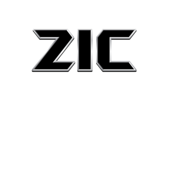 ZIC (Zombie In City)